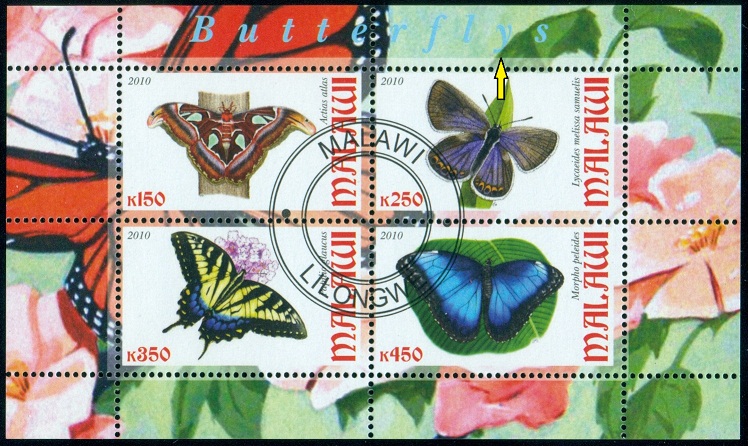 MALAWI. pravopisná chyba. má být 'BUTTERFLIES'