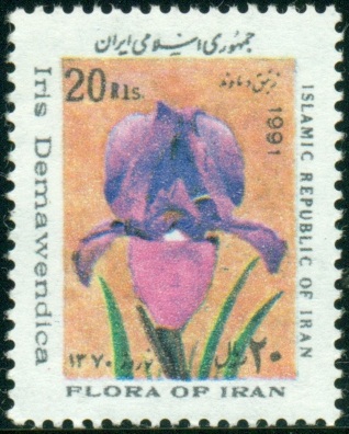 IRÁN. gramantická chyba. Iris demawendica se píše s malým d