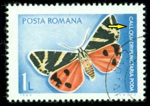 RUMUNSKO. přástevník kostivalový je správně Callimorpha quadripunctaria
