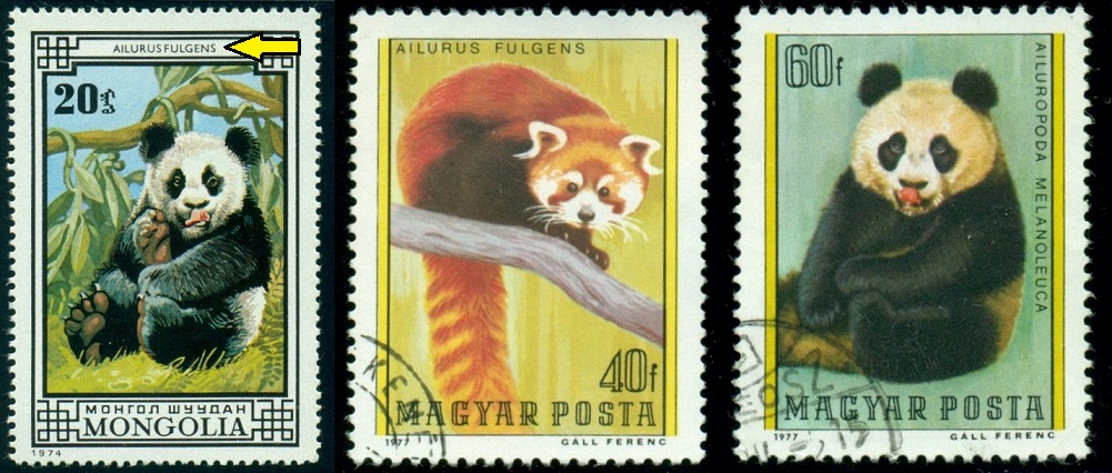 MONGOLSKO. je vyobrazena panda velká - Ailuropoda melanoleuca a ne panda malá