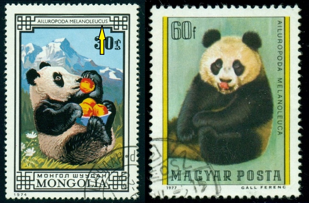 MONGOLSKO. panda velká  má být správně Ailuropoda melanoleuca