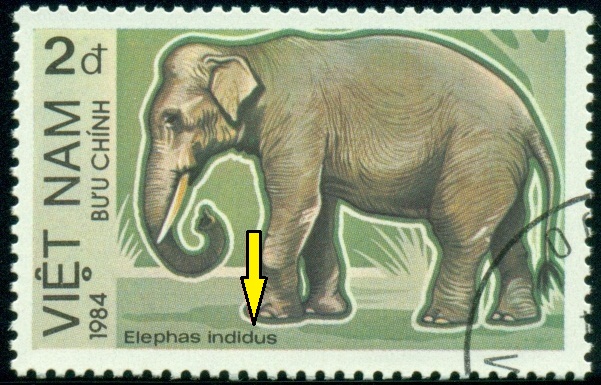 VIETNAM. správně má být Elephas maximus indicus