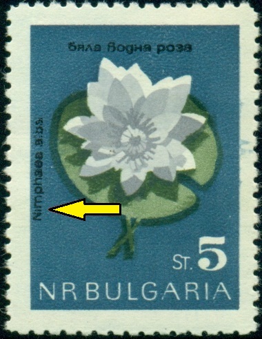 BULHARSKO. chybný název. správně má být Nymphaea