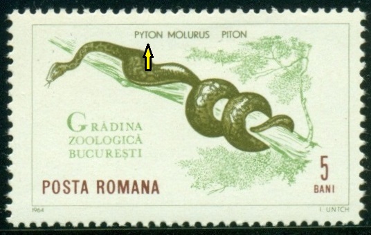 RUMUNSKO. chybný název. správně se píše Python