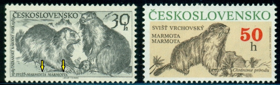 ČESKOSLOVENSKO. chybný název sviště horského na 30 h známce. správně se píše Marmota s jedním T