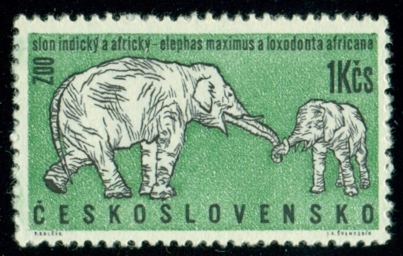 ČESKOSLOVENSKO. latinské názvy musí začínat vždy velkými písmeny (4)