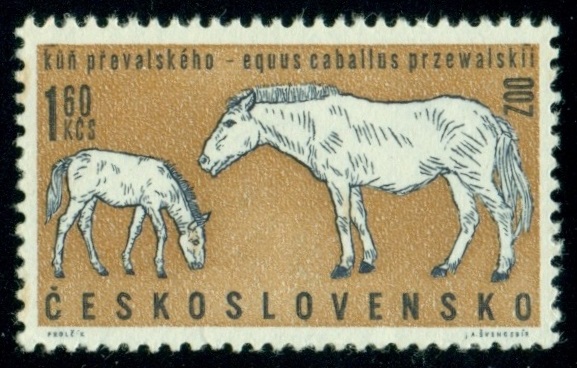 ČESKOSLOVENSKO. latinské názvy musí začínat vždy velkými písmeny (6)
