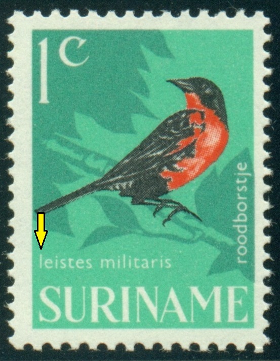 SURINAM. 1c. latinský název má začínat velkým písmenem - Leistes militaris
