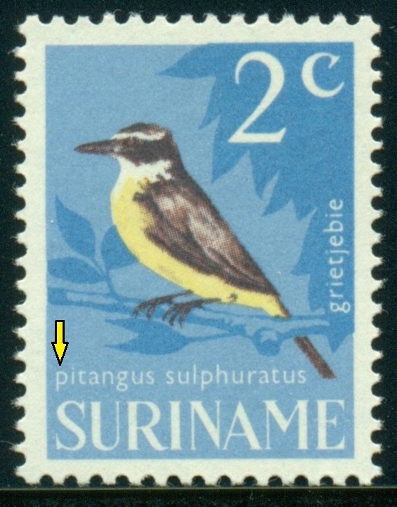 SURINAM. 2c. latinský název má začínat velkým písmenem - Pitangus sulphuratus