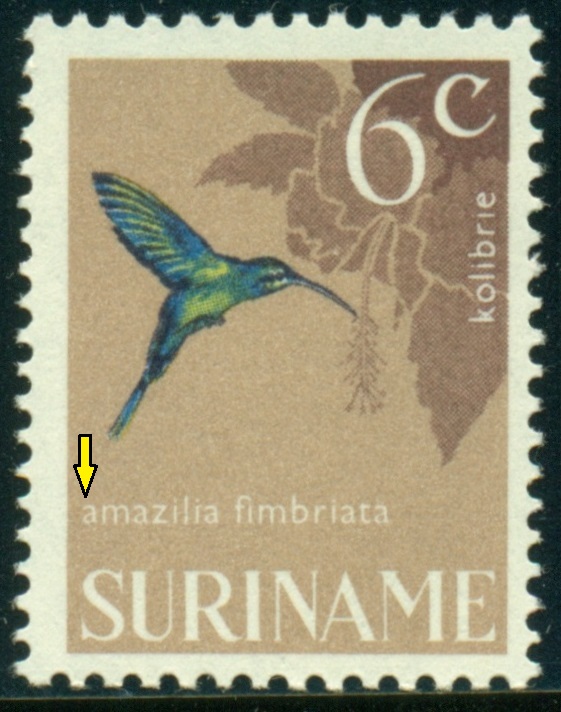 SURINAM. 6c. latinský název má začínat velkým písmenem - Amazilia fimbriata