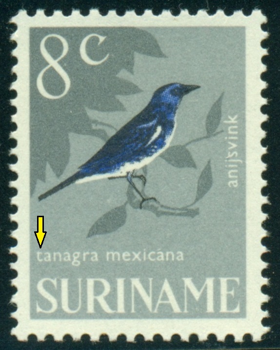 SURINAM. 8c. latinský název má začínat velkým písmenem - Tanagra mexicana