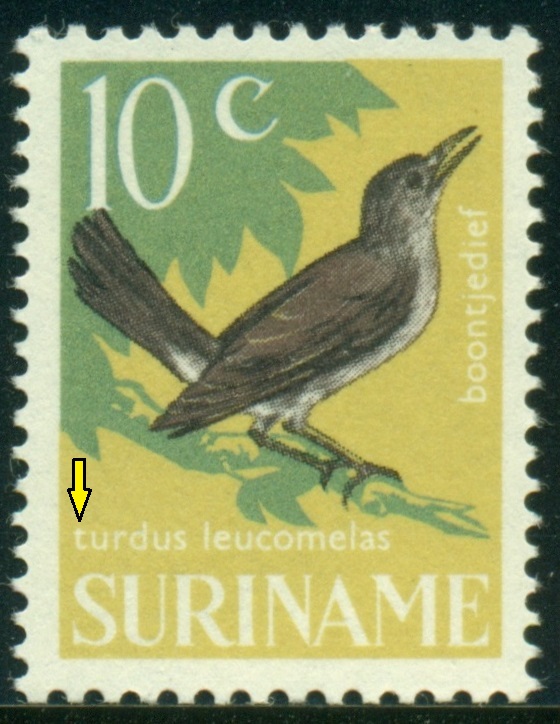 SURINAM. 10c. latinský název má začínat velkým písmenem - Turdus leucomelas