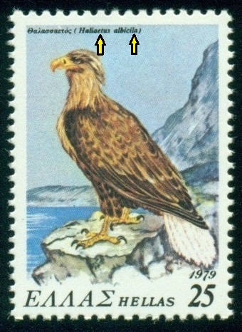 ŘECKO. orel mořský má být Haliaeetus albicilla