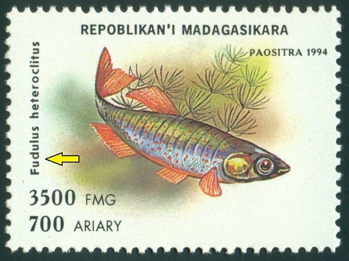 MADAGASKAR. chybí písmeno. má být Fundulus heteroclitus