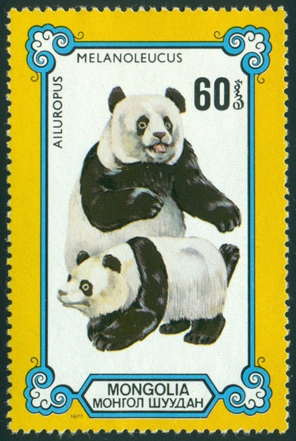 MONGOLSKO. chybný název. panda velká je správně Ailuropoda melanoleuca (60)