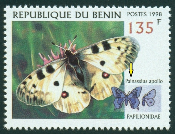 BENIN. jasoň červenooký je správně Parnassius apollo