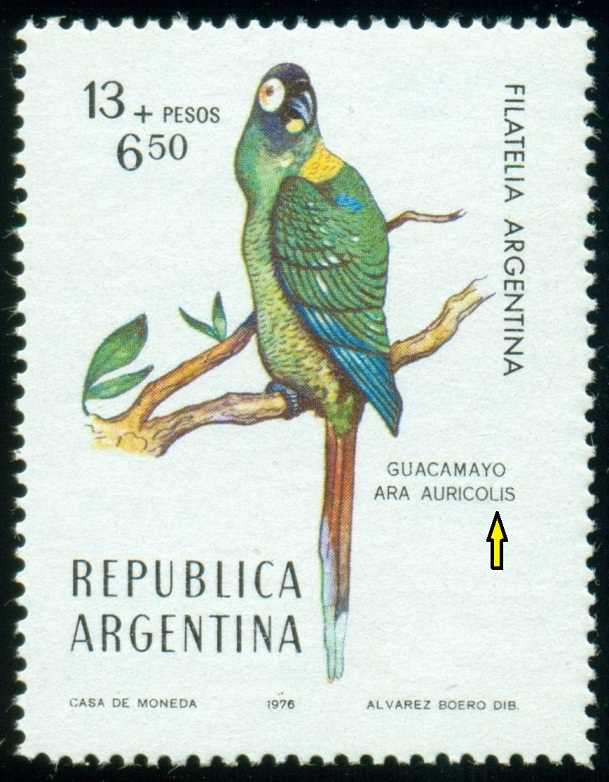 ARGENTINA. ara žlutokrký je správně Ara auricollis