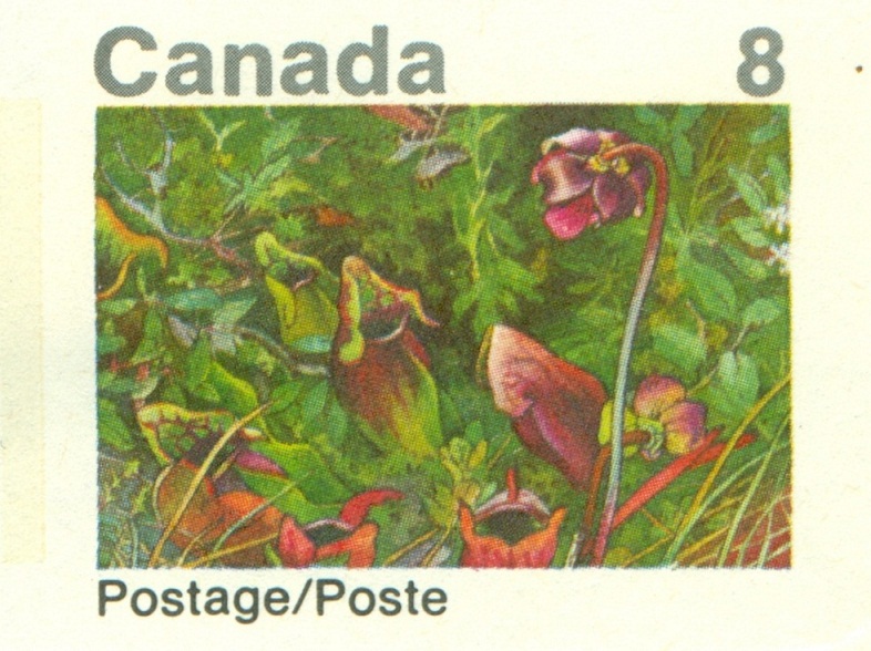 KANADA. domestogram rok 1973. pravopisná chyba. má být 'POSTES' (4)