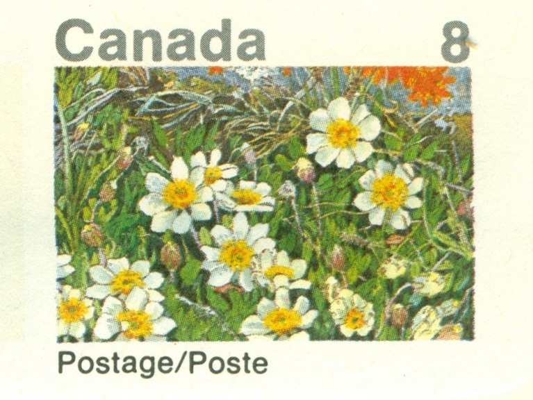 KANADA. domestogram rok 1973. pravopisná chyba. má být 'POSTES' (6)