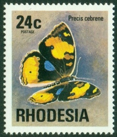 RHODESIE.  Precis cebrene je nepřesný název. mělo být Junonia hierta