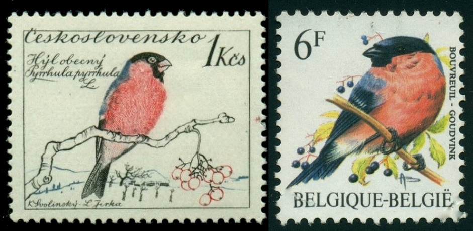 ČESKOSLOVENSKO. hýl obecný má ve skutečnosti černý zobák. správně je na známce Belgie