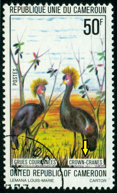 KAMERUN. jeřáb královský má být správně crowned crane