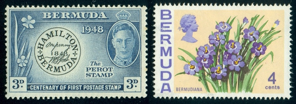 BERMUDY. Sisyrinchium bermudiana má ve skutečnosti 6 okvětních lístků (3)