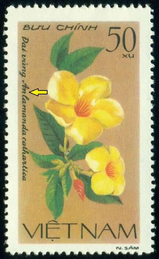 VIETNAM. chybný název - má být Allamanda