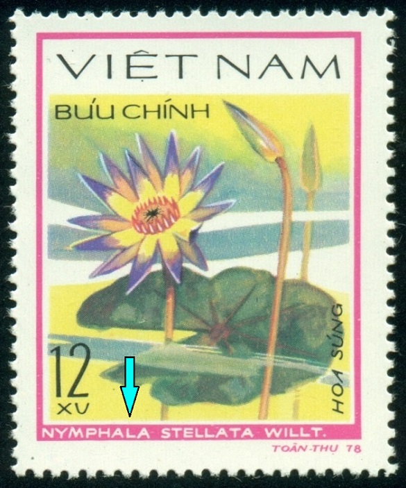 VIETNAM. chybný název - má být Nymphaea