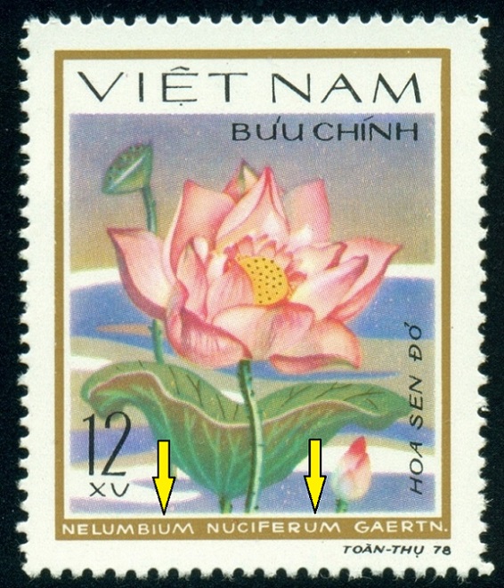 VIETNAM. chybný název - má být Nelumbo nucifera