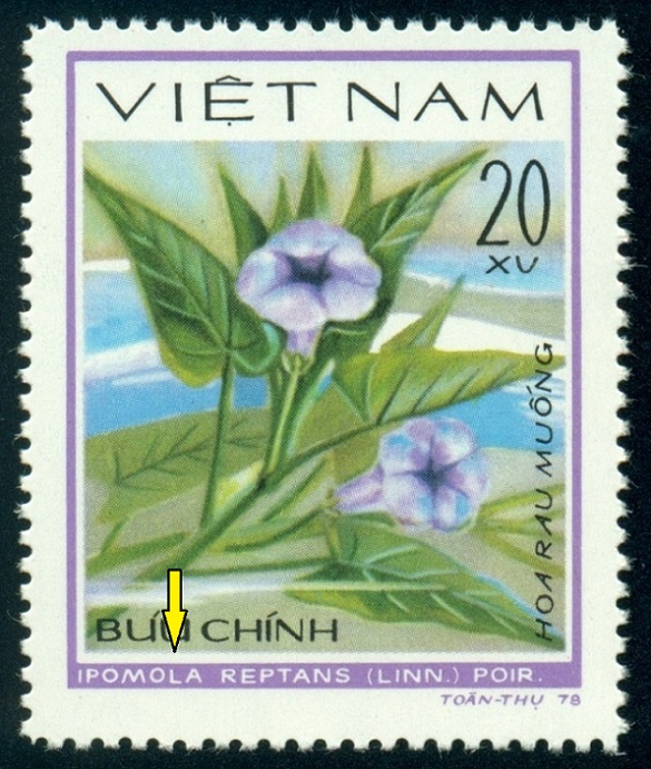 VIETNAM. chybný název - má být Ipomoea