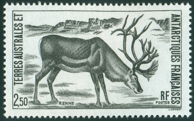 FRANCOUZSKÁ JIŽNÍ A ANTARKTICKÁ ÚZEMÍ. nevhodně použit sob jako domorodá fauna