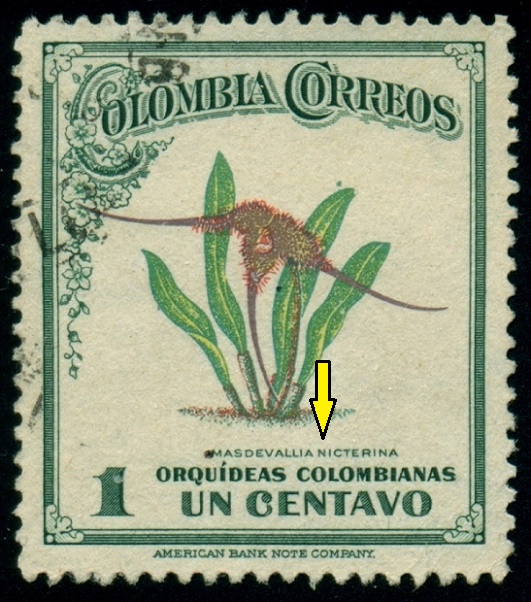 KOLUMBIE. písmeno navíc. správný název je Masdevallia icterina
