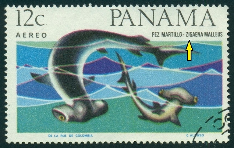 PANAMA. kladivoun má být správně Zygaena