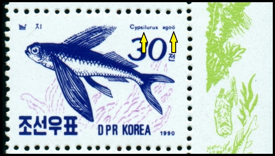 KLDR. ryba letoun ago se správně jmenuje Cheilopogon agoo (nebo synonymum Cypselurus agoo agoo)