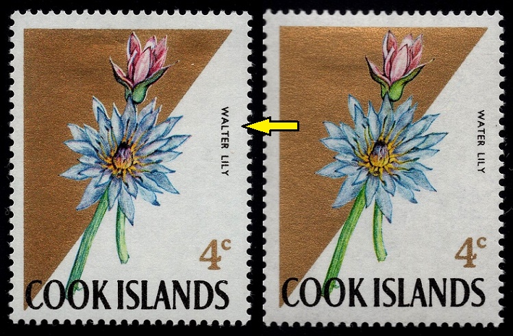 COOKOVY OSTROVY. vlevo je chybně písmeno navíc. leknín je správně 'WATER LILY'