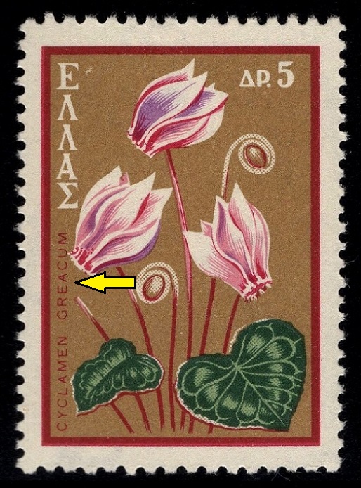 ŘECKO. pravopisná chyba - jsou prohozená písmena. brambořík je správně Cyclamen graecum