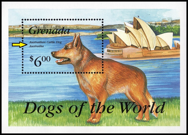 GRENADA.  chybně Austrailian místo Australian a Austrailia místo Australia - písmeno 'i' navíc