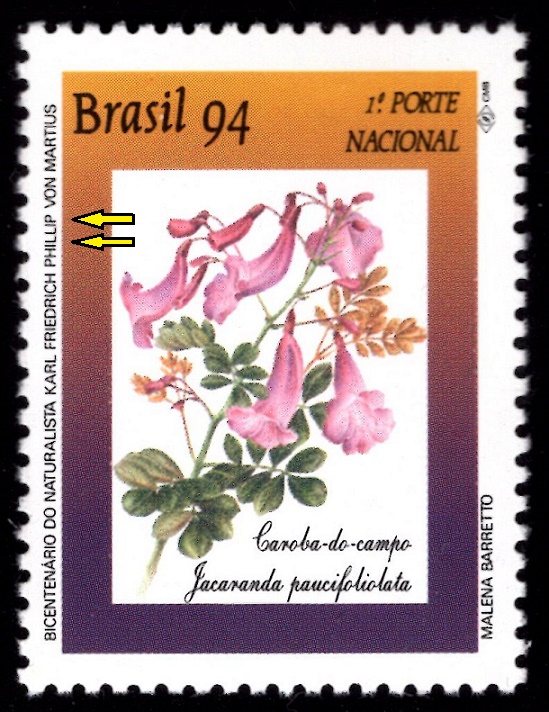 BRAZÍLIE. německý botanik se jmenoval Karl Friedrich Philipp von Martius ( 1xL a  2xP) (2)