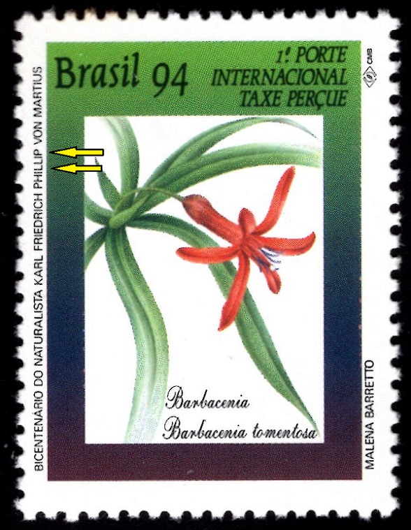 BRAZÍLIE. německý botanik se jmenoval Karl Friedrich Philipp von Martius ( 1xL a  2xP) (3)