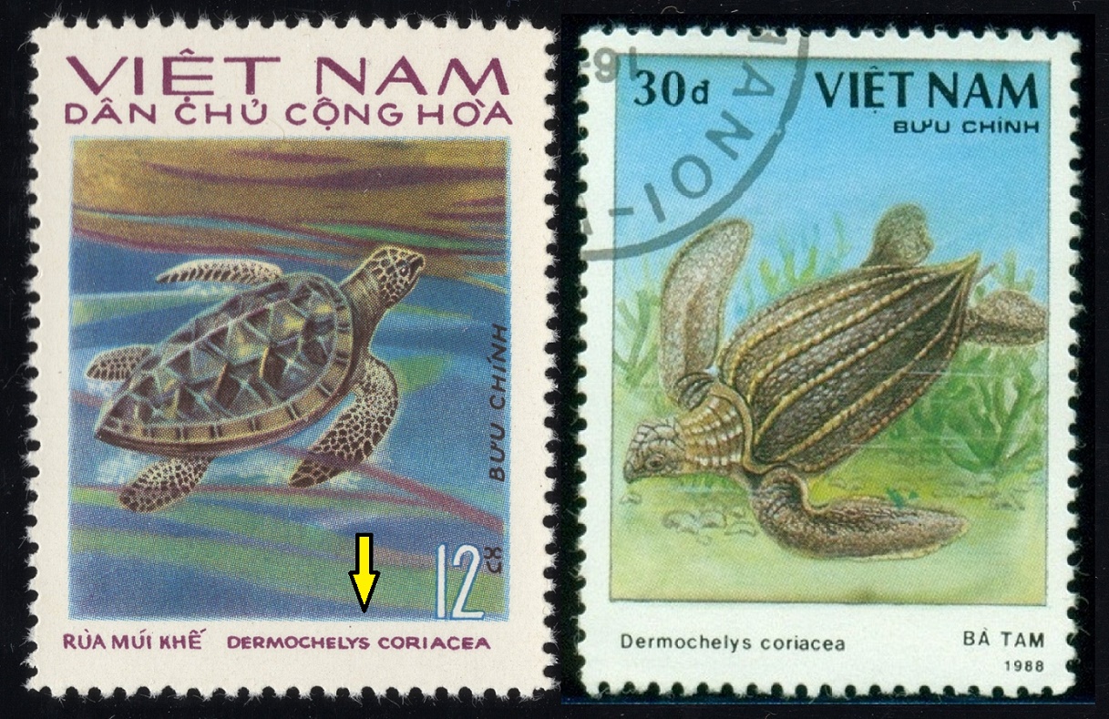 VIETNAM. na známce vlevo má být Eretmochelys imbricata - Kareta pravá