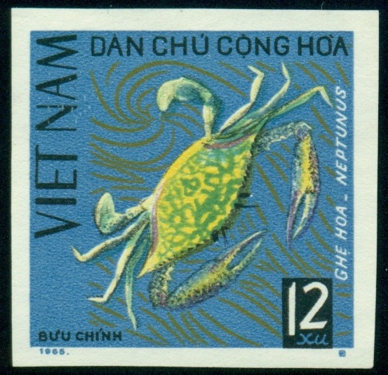 VIETNAM. správně má být Portunus pelagicus
