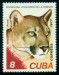KUBA. chybný název.  puma je správně 'Puma concolor'