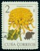 KUBA. správně je 'Chrysanthemum hortorum' bez čárky nad 'o'