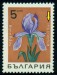 BULHARSKO. latinský název má začínat velkým písmenem. kosatec sibiřský je Iris sibirica