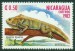 NIKARAGUA. leguán zelený je Iguana iguana