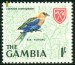 GAMBIE. mandelík modrobřichý. latinský název je Coracias cyanogaster a musí začínat velkým písmenem