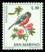SAN MARINO. druhový název musí začínat malým písmenem (6)