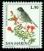 SAN MARINO. druhový název musí začínat malým písmenem (9)