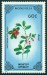 MONGOLSKO. brusinka  má  být Vaccinium vitis-idaea
